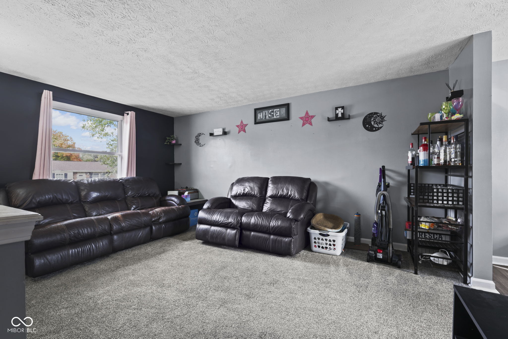 509 Dangerfield Drive