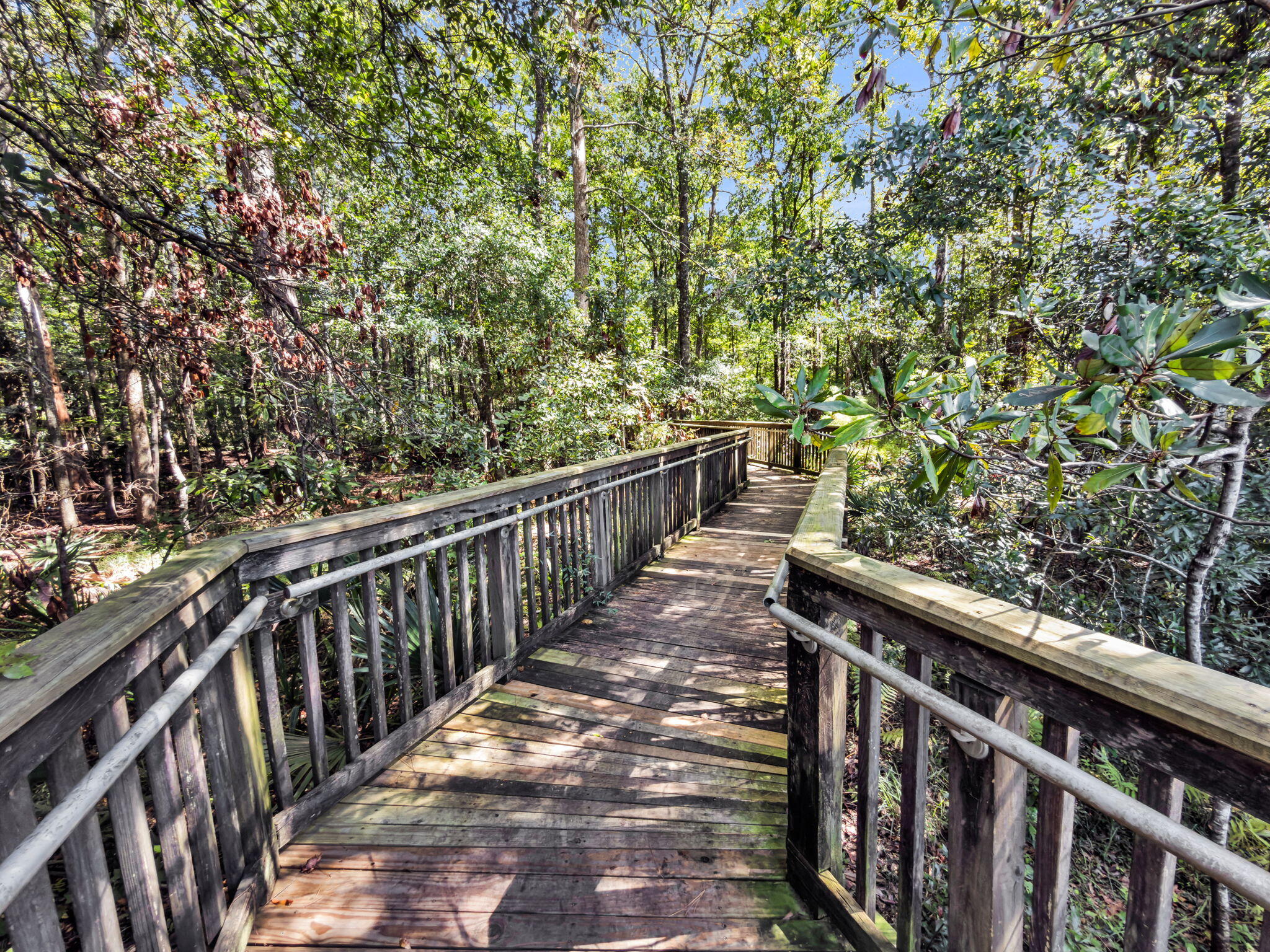 709 Pepperbush Street