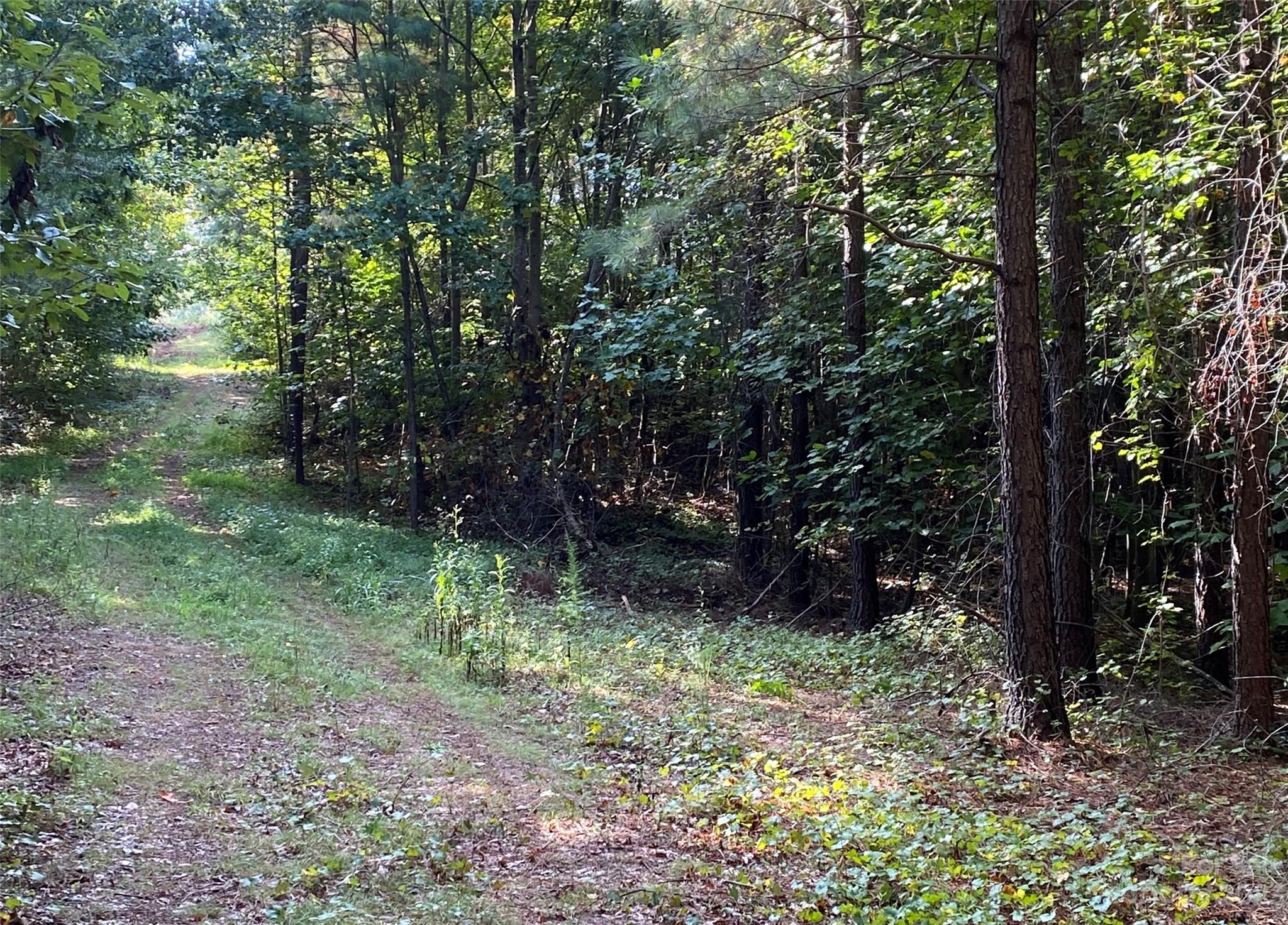 11.35 Acres NC Hwy 127 S