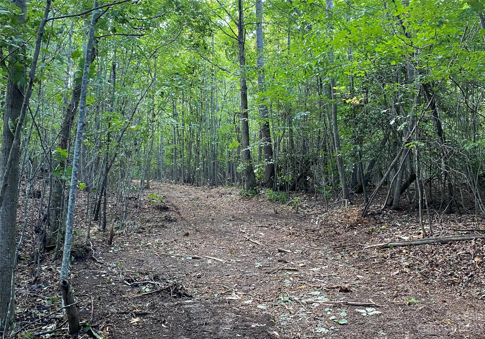 11.35 Acres NC Hwy 127 S