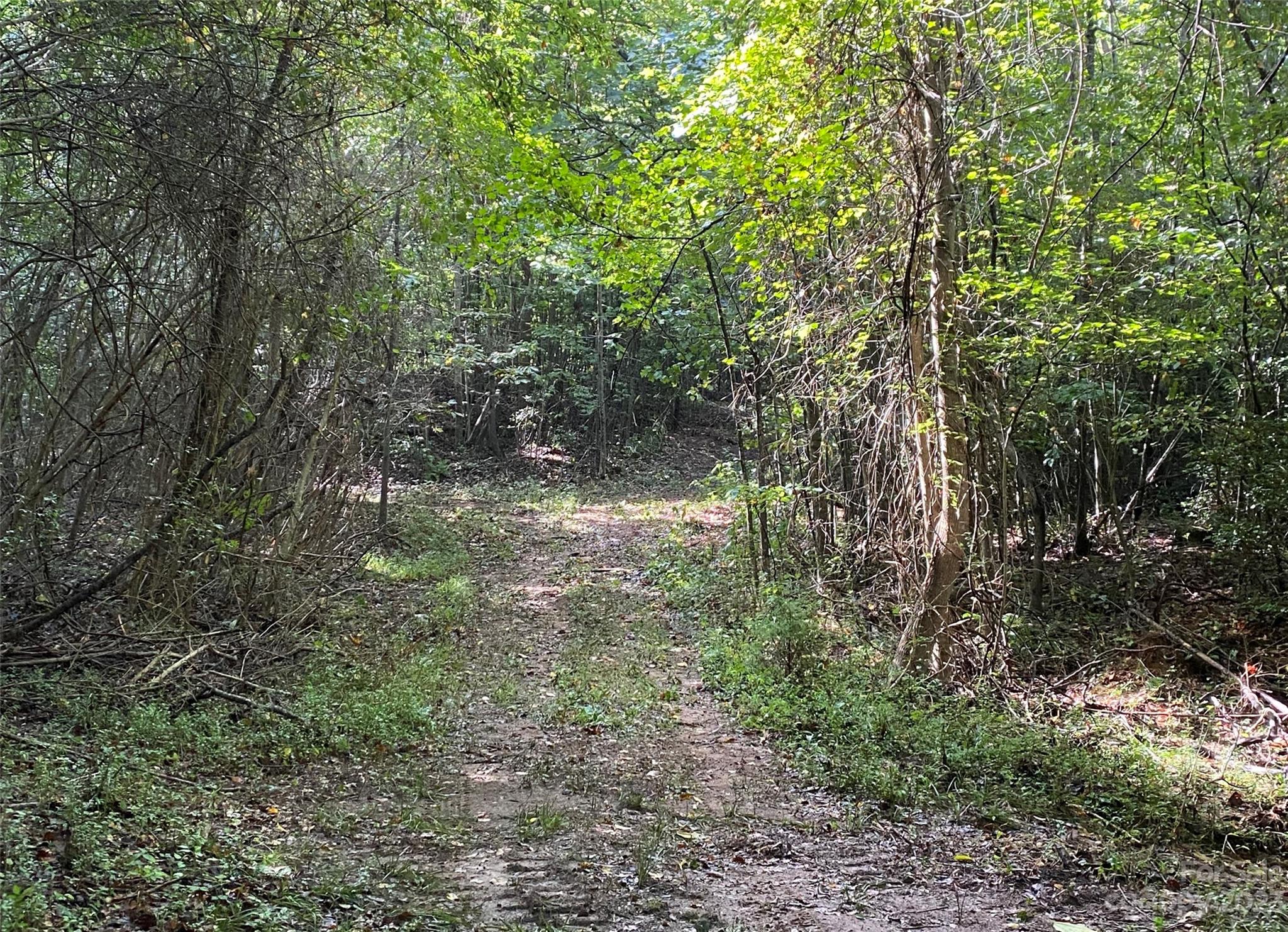 11.35 Acres NC Hwy 127 S