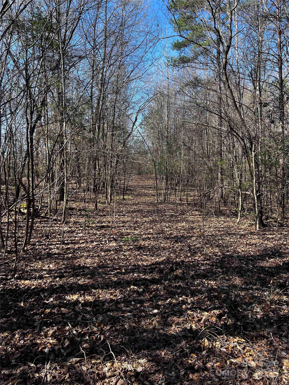 425 Old Willis School Road