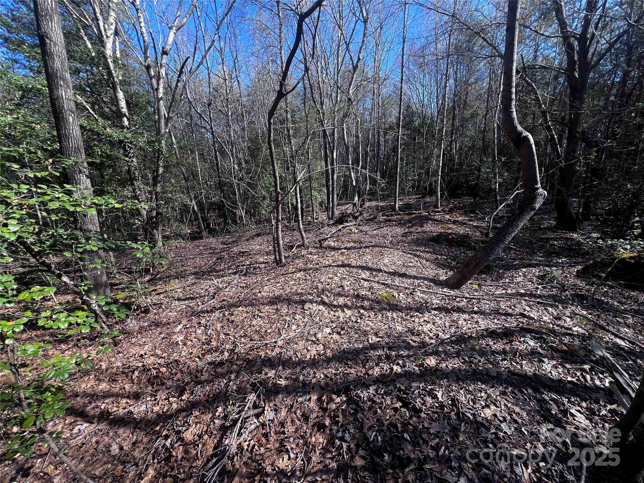 425 Old Willis School Road