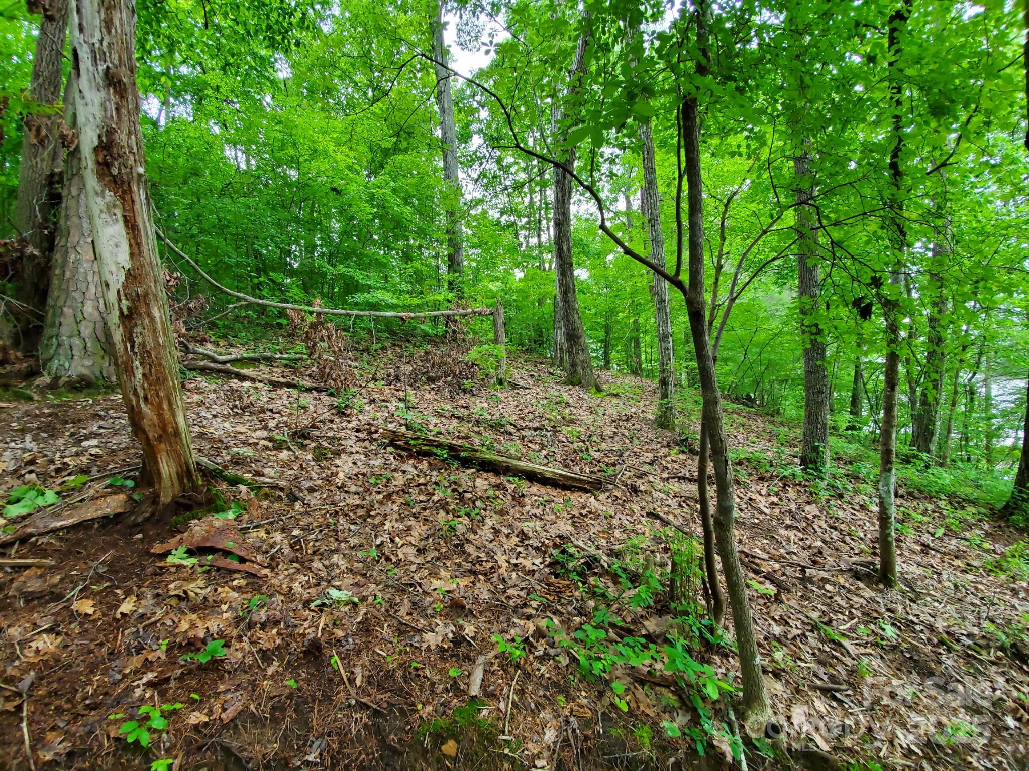 134 Winwood Circle