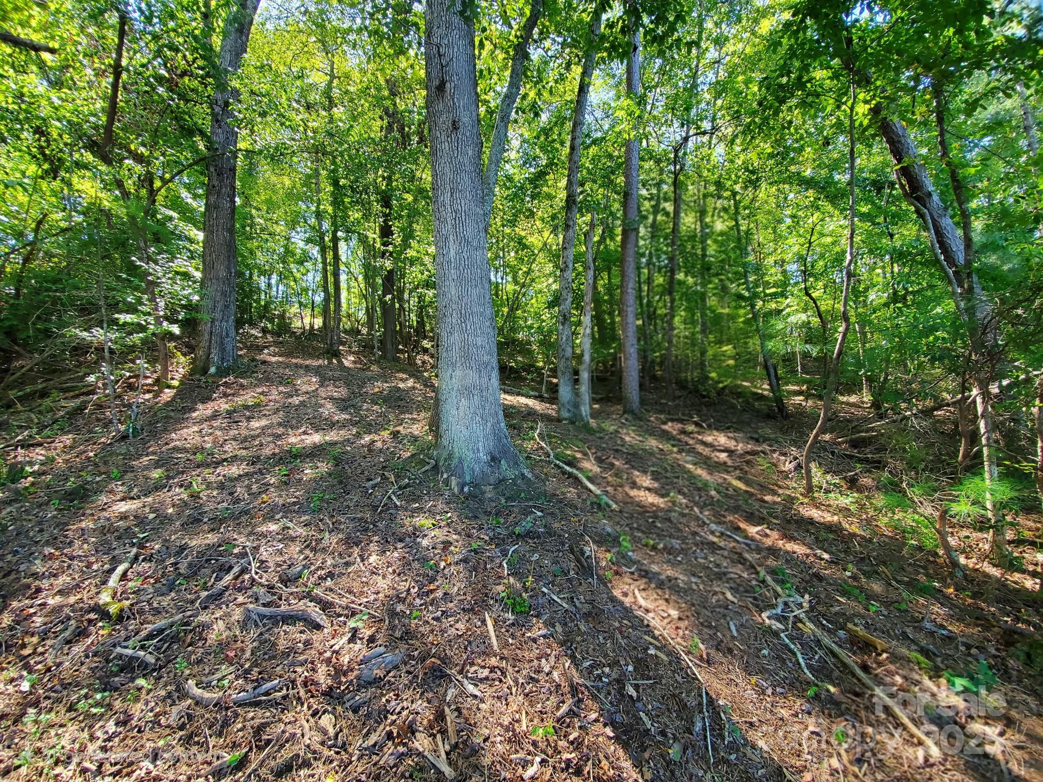 134 Winwood Circle