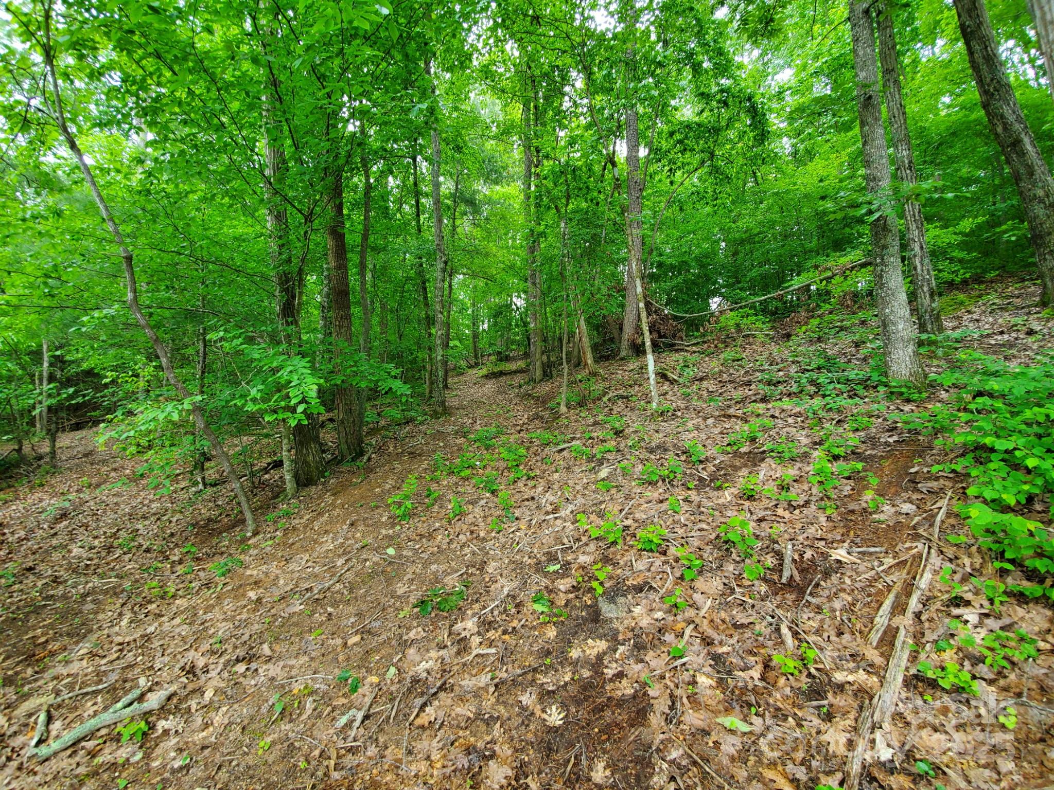 134 Winwood Circle