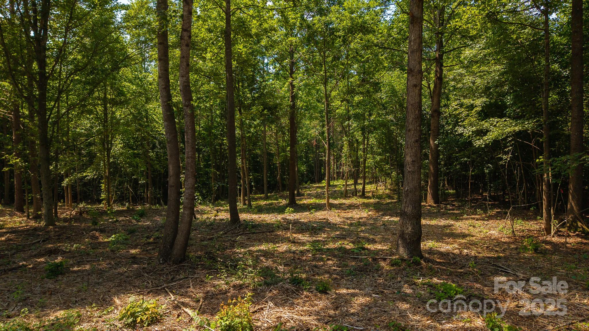 1853 Hill River Road Unit: 1-2