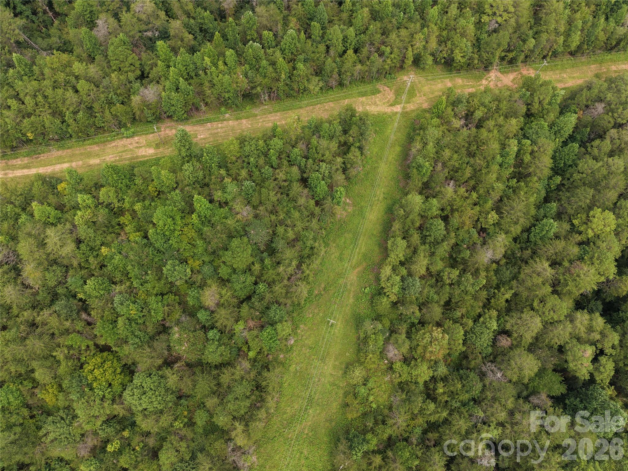711 Pine cove Road