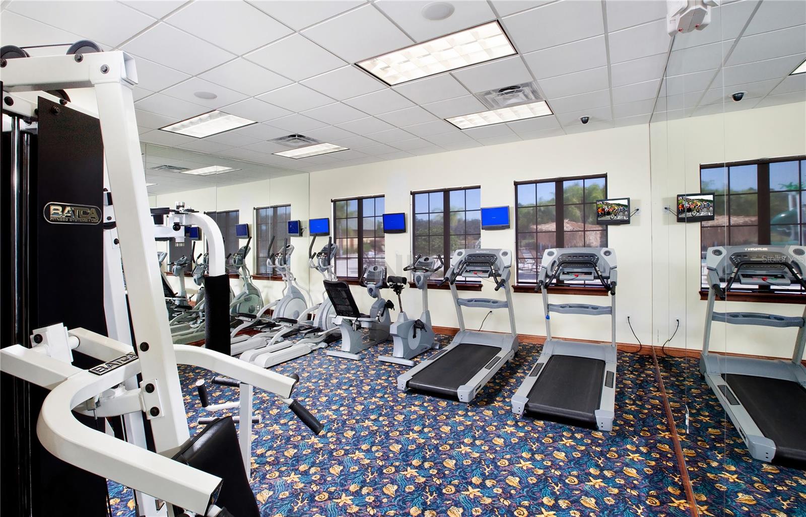 8951 BISMARCK PALM RD