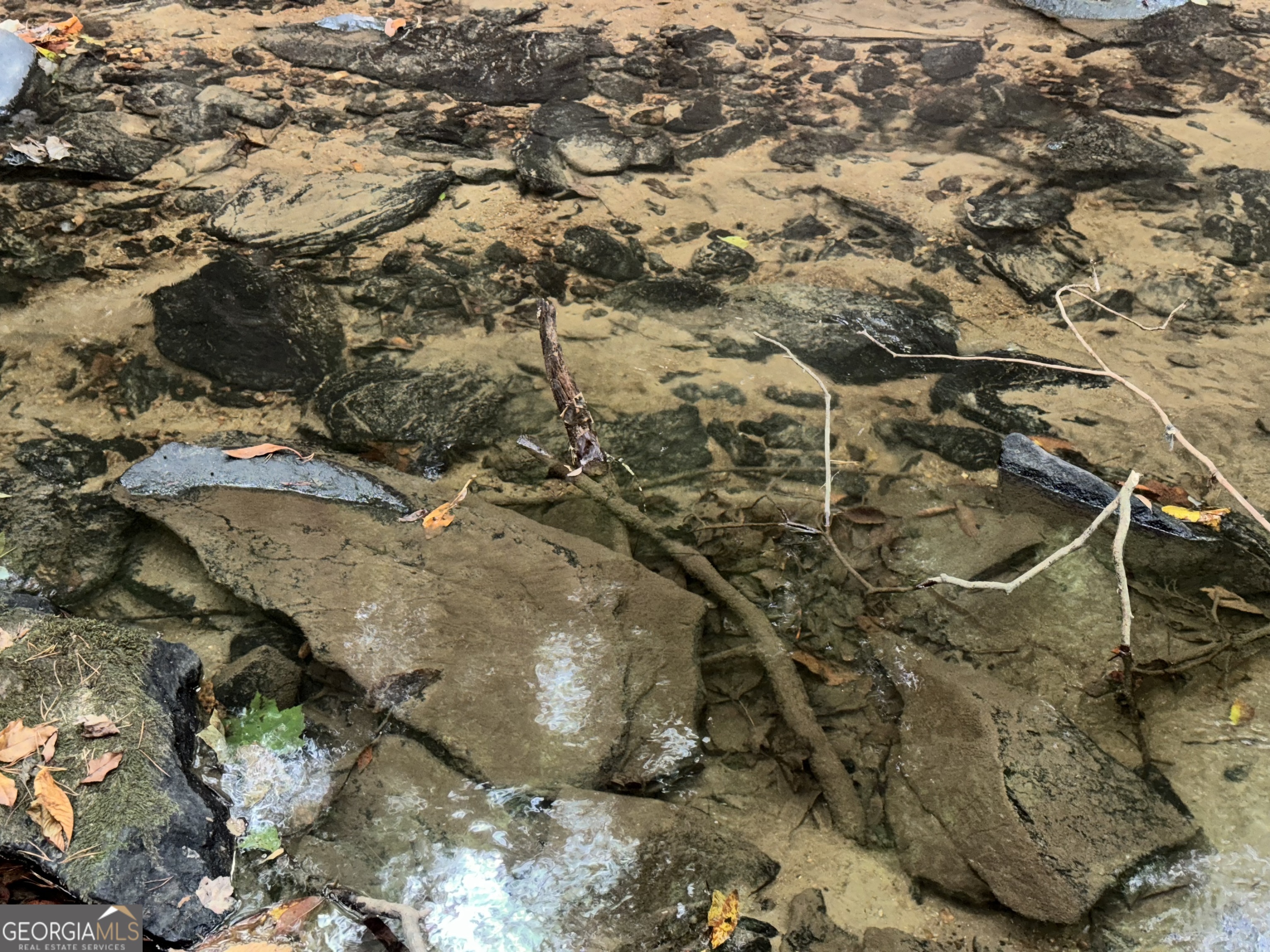 LOT 9 Bitter Creek Lane # 9