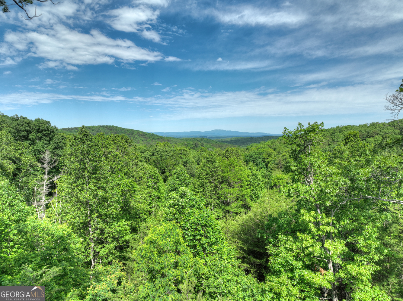 54 Channing Hollow