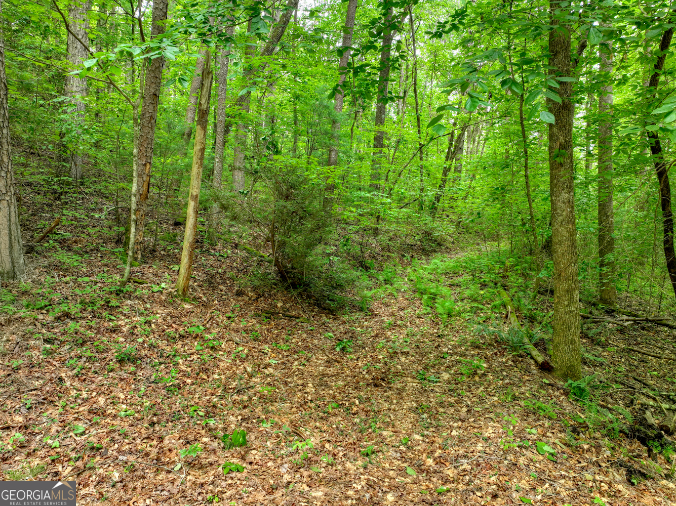 LTS 5,6,7 Mountain Springs Road N