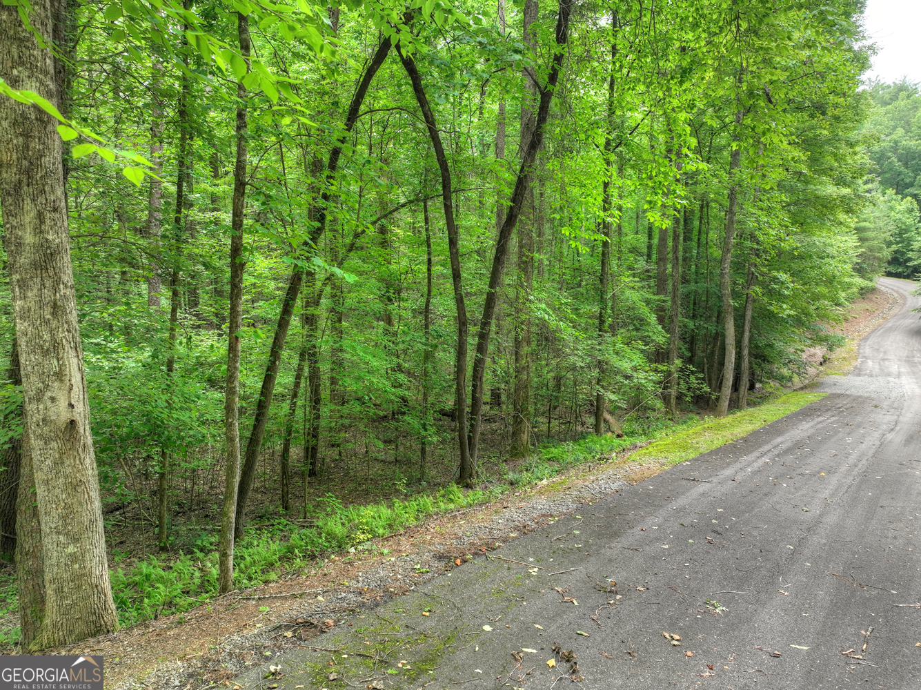 LTS 5,6,7 Mountain Springs Road N