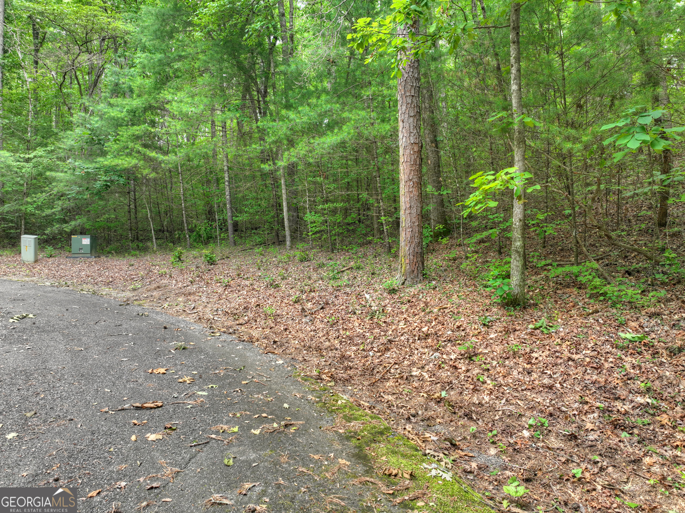 LTS 5,6,7 Mountain Springs Road N