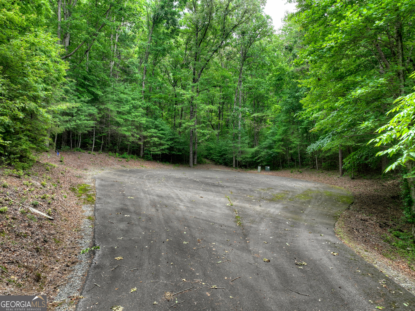 LTS 5,6,7 Mountain Springs Road N