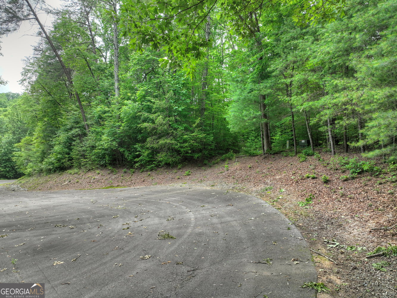 LTS 5,6,7 Mountain Springs Road N