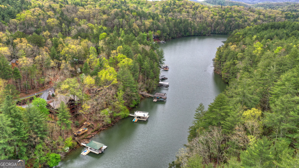 455 Misty Mountain Trail