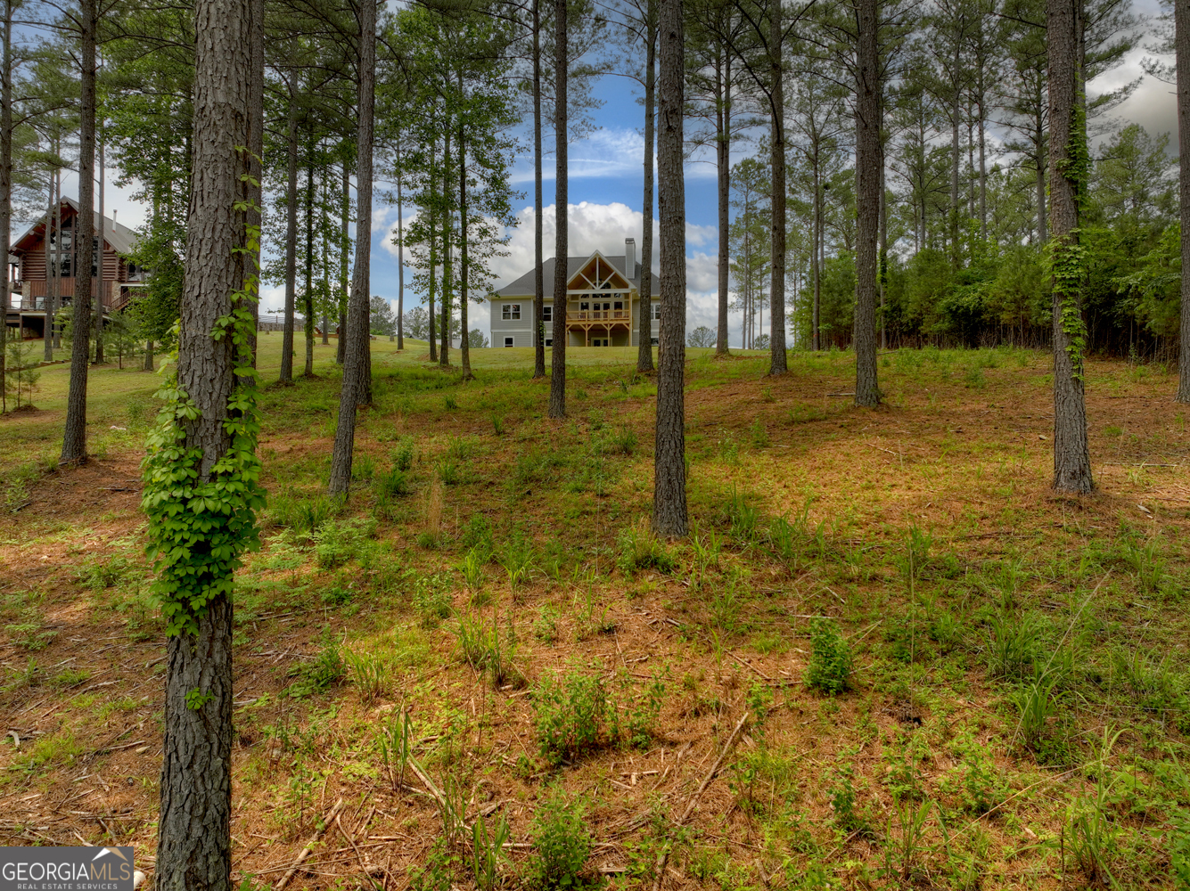 479 Sandy Lake Lane