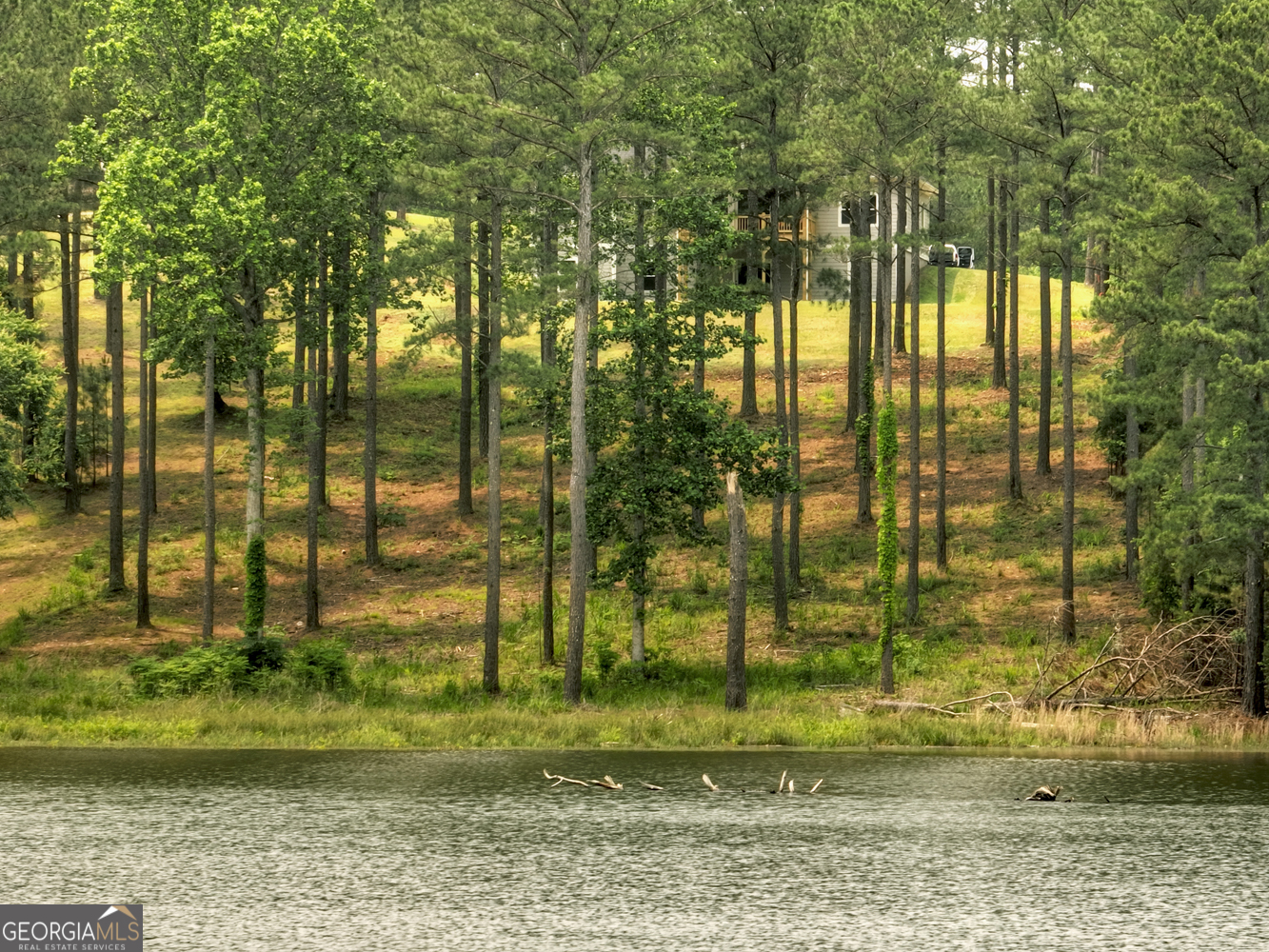 479 Sandy Lake Lane