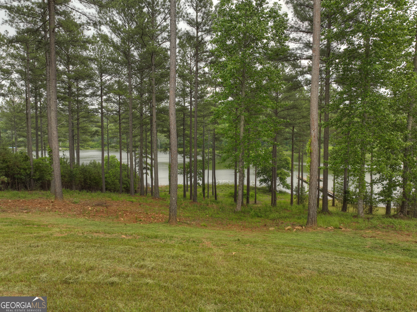 479 Sandy Lake Lane