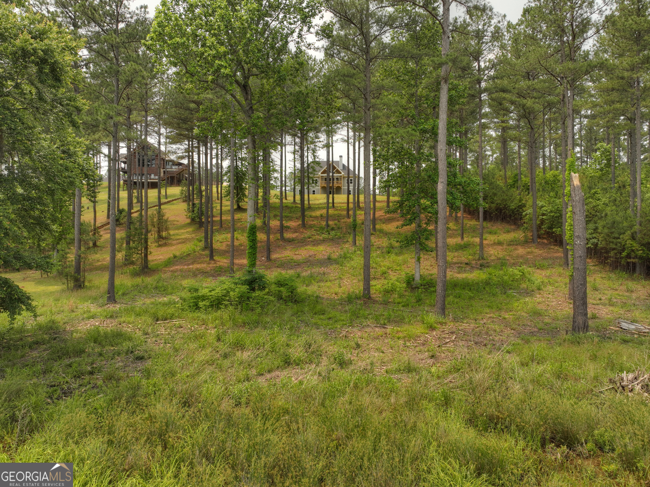 479 Sandy Lake Lane
