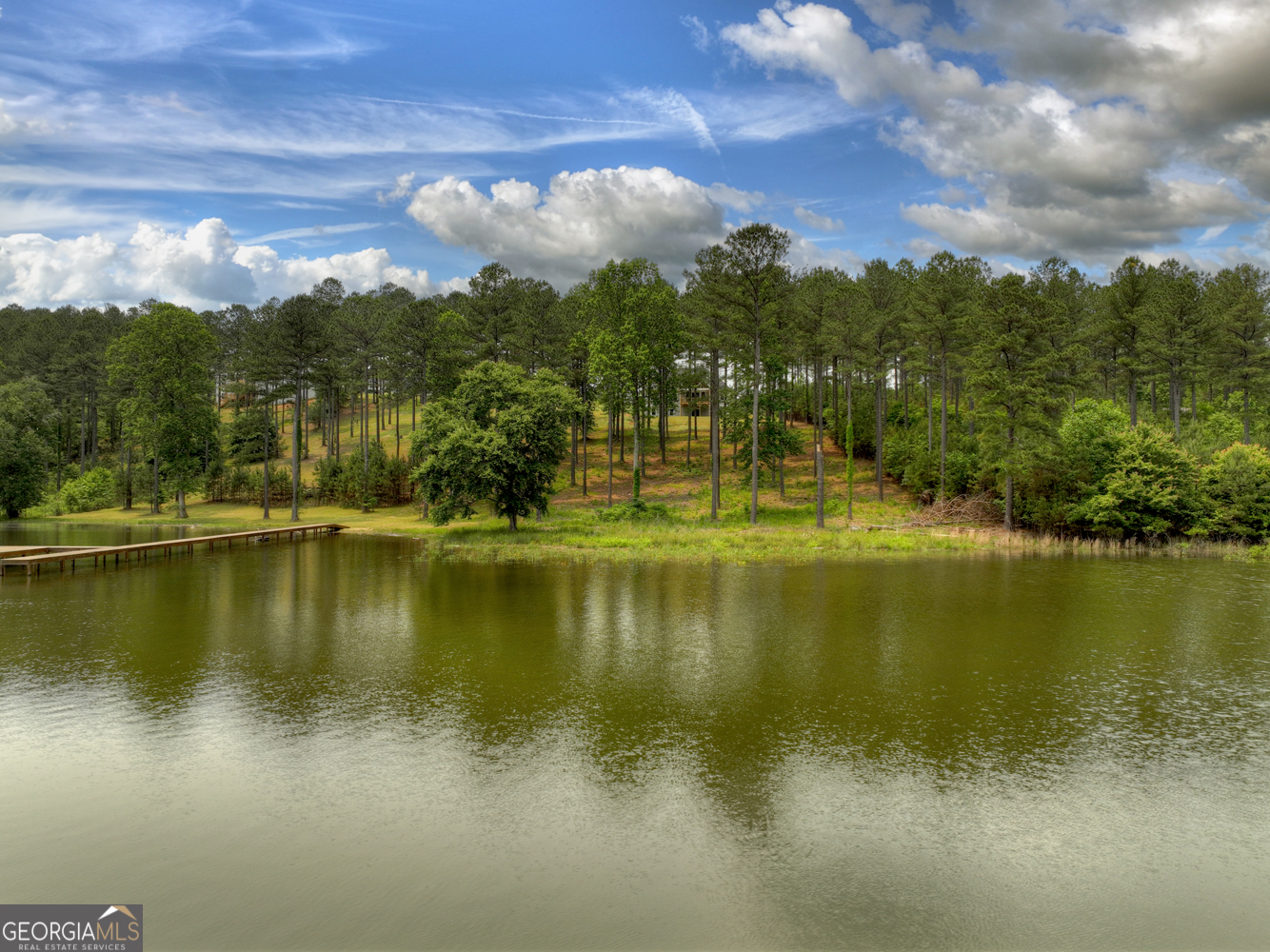 479 Sandy Lake Lane