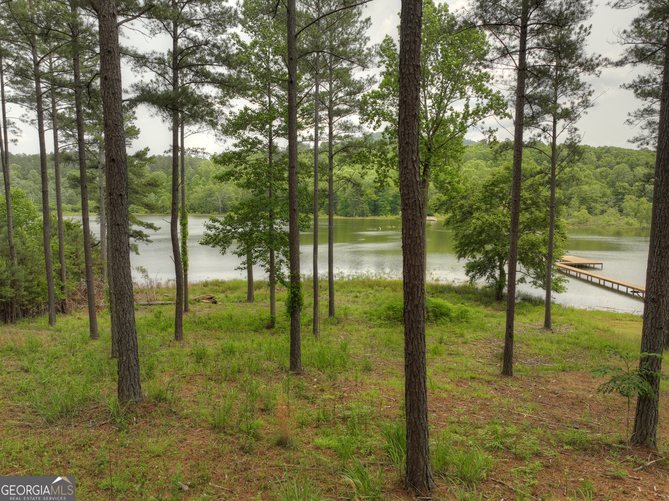 479 Sandy Lake Lane