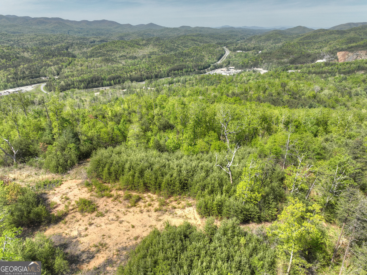 138.06 AC off Hwy. 515 N.