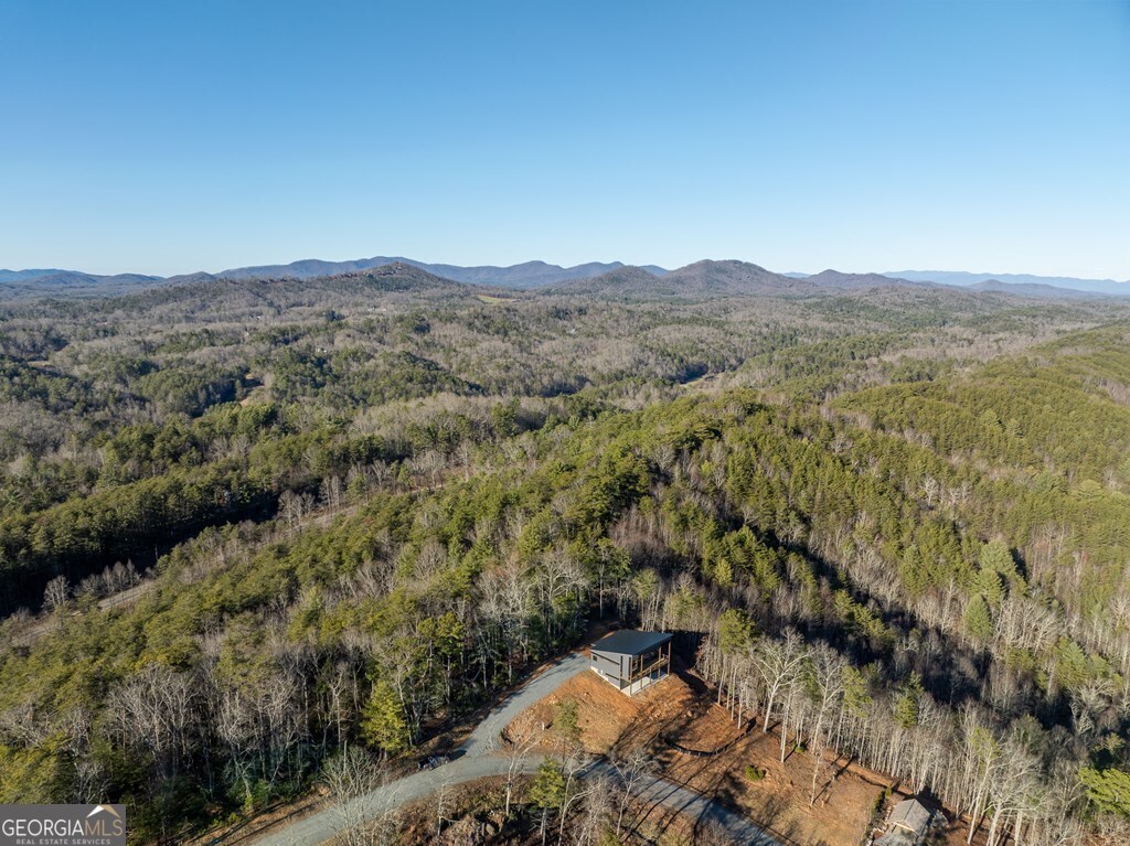 538 Mountain Laurel Ridge