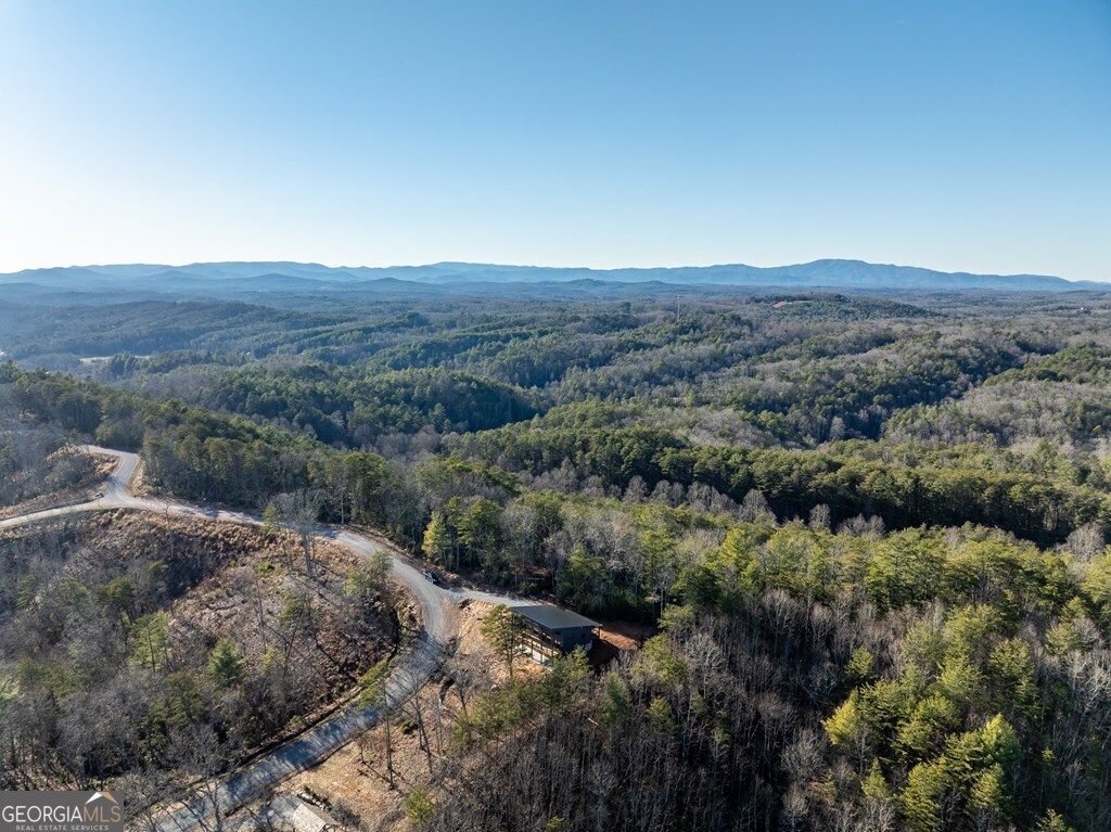 538 Mountain Laurel Ridge