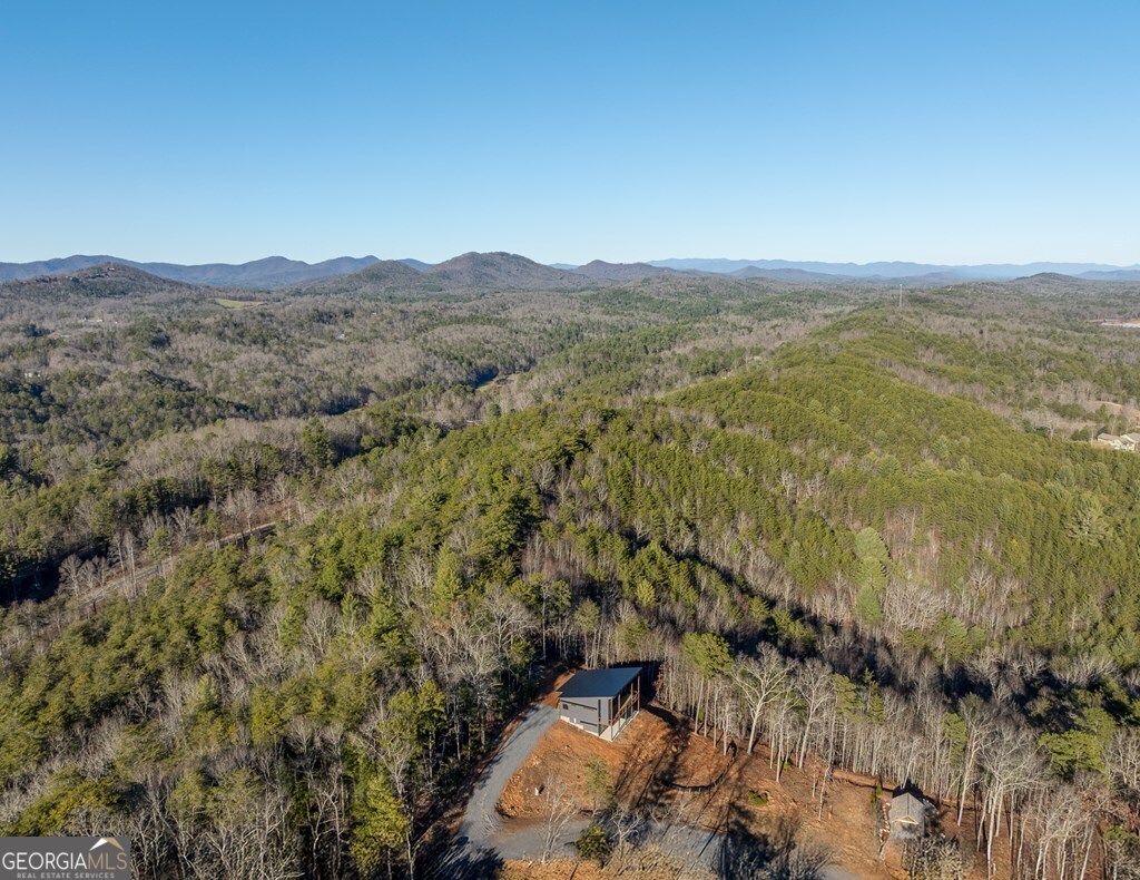 538 Mountain Laurel Ridge