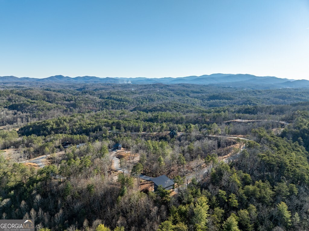 538 Mountain Laurel Ridge