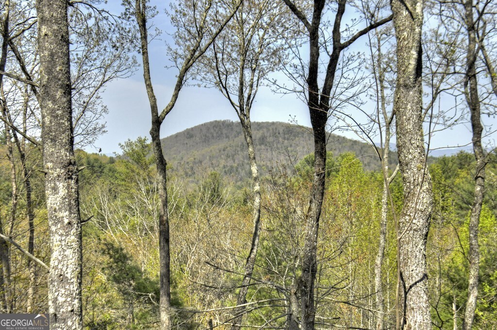 302 Indian Ridge Road