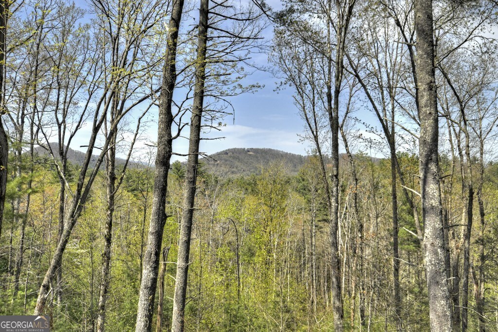 302 Indian Ridge Road