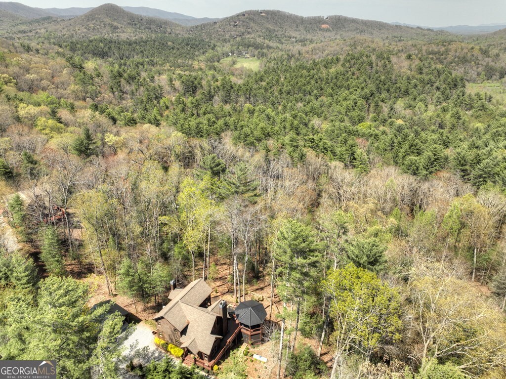 302 Indian Ridge Road