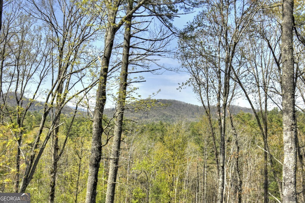 302 Indian Ridge Road