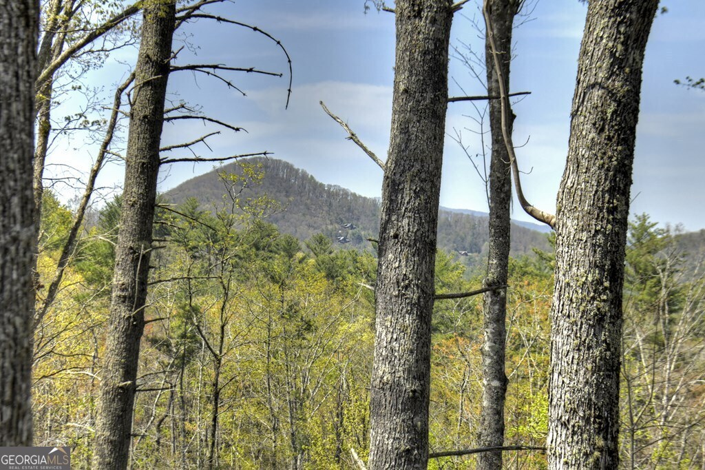 302 Indian Ridge Road