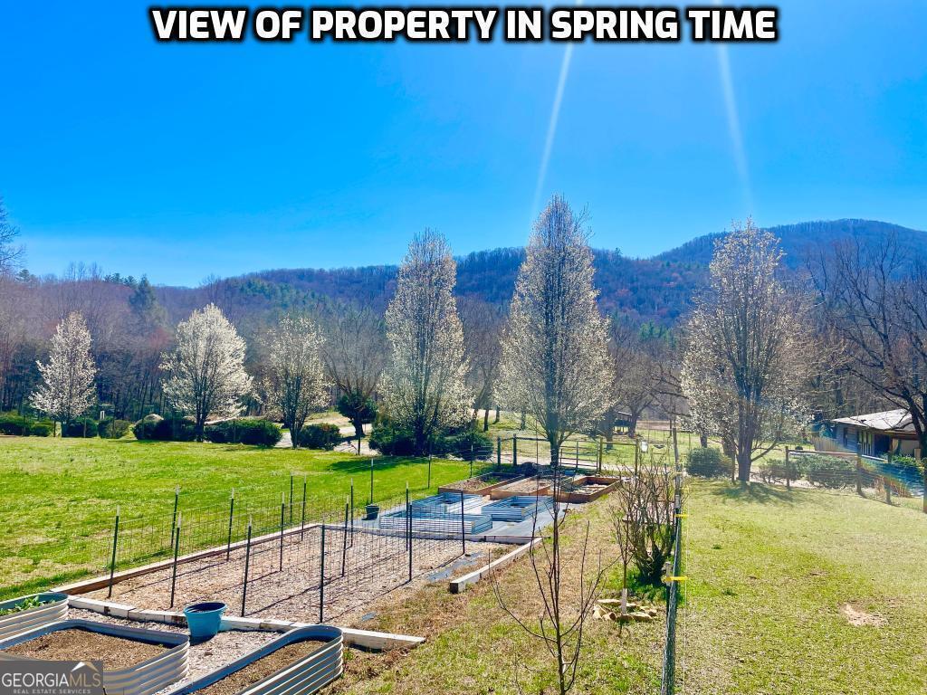 1956 Devils Den Road