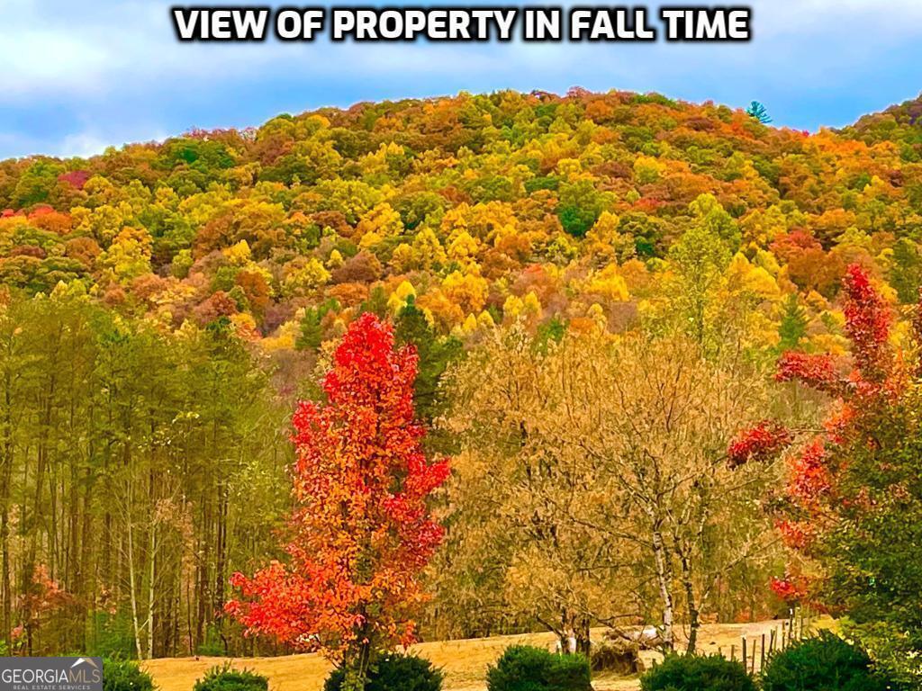 1956 Devils Den Road