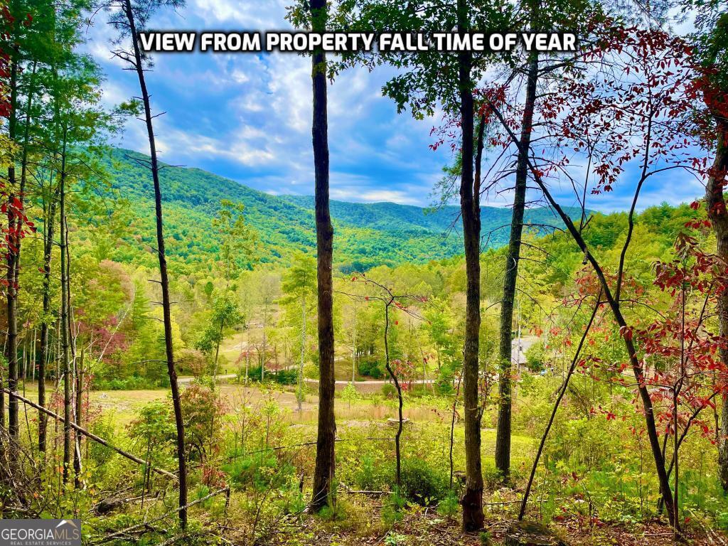 1956 Devils Den Road