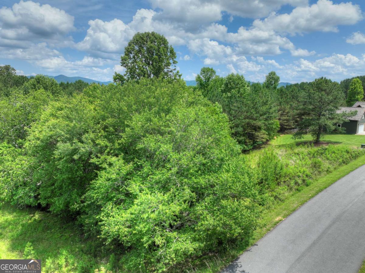 LOT 140 Fox Lake # 140