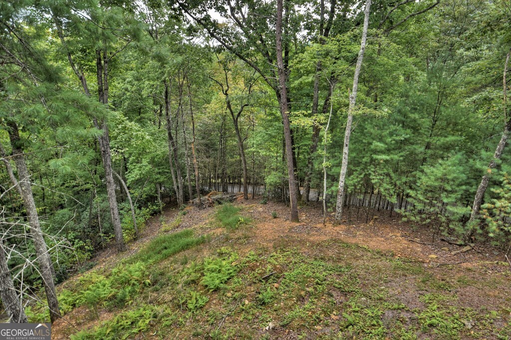100 Oak View Road