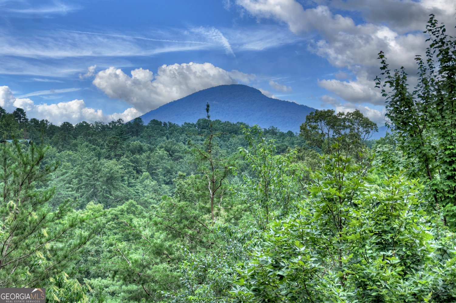 852 Miners Mountain Road