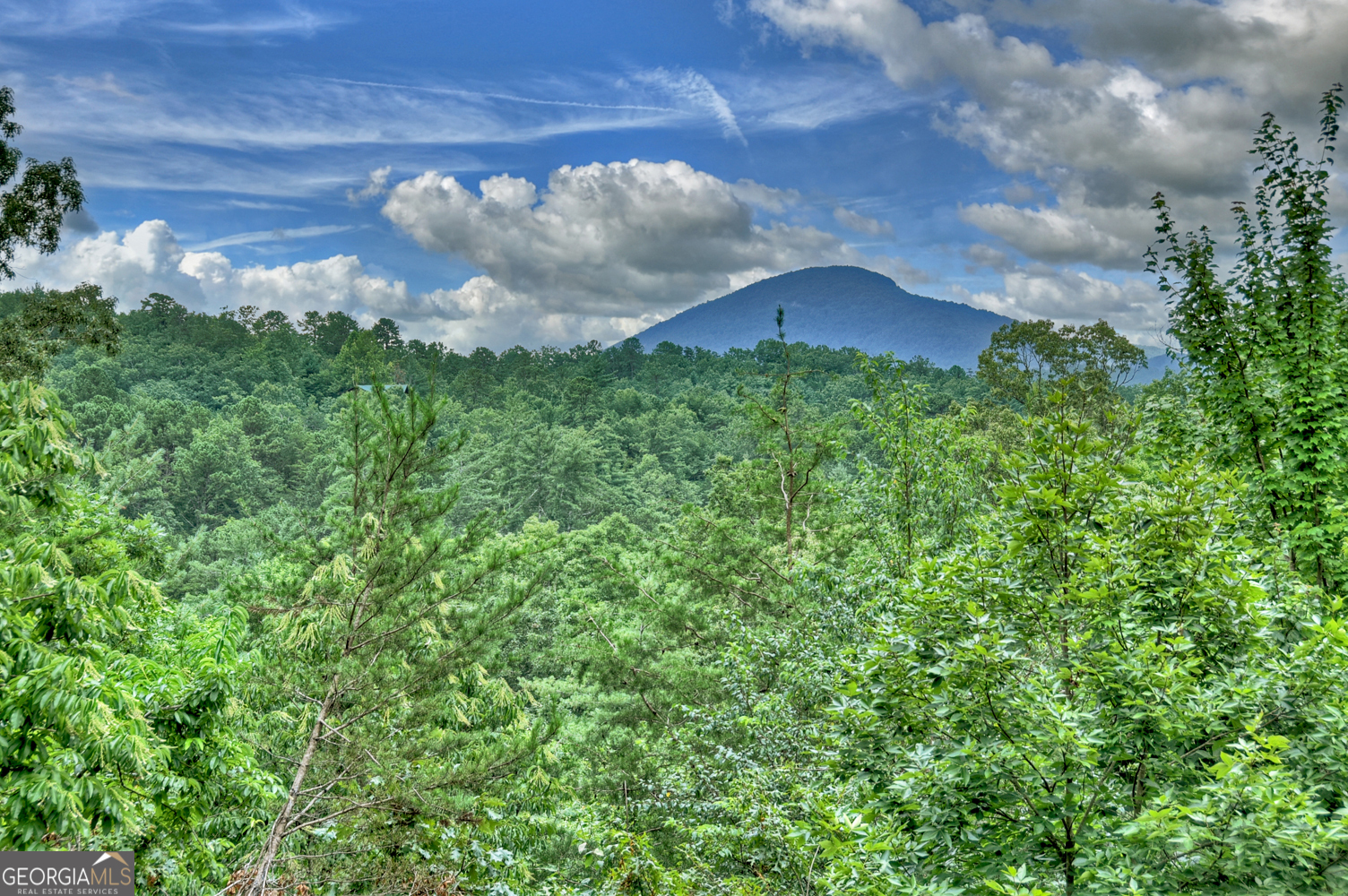 852 Miners Mountain Road