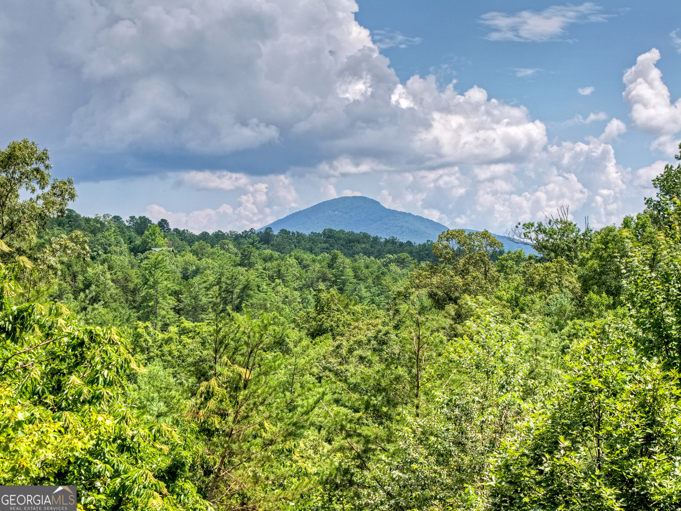 852 Miners Mountain Road