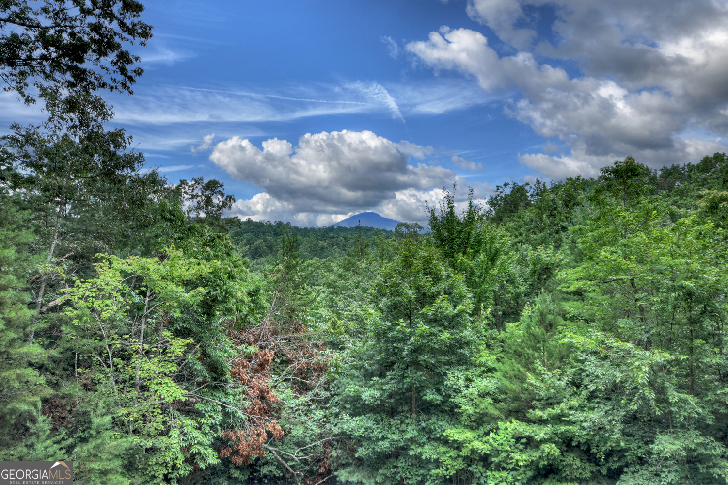 852 Miners Mountain Road