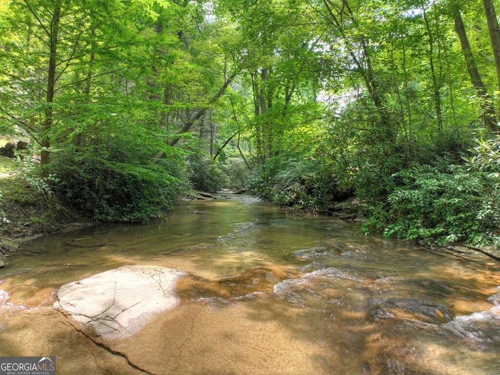 100 Stanley Creek Crossing