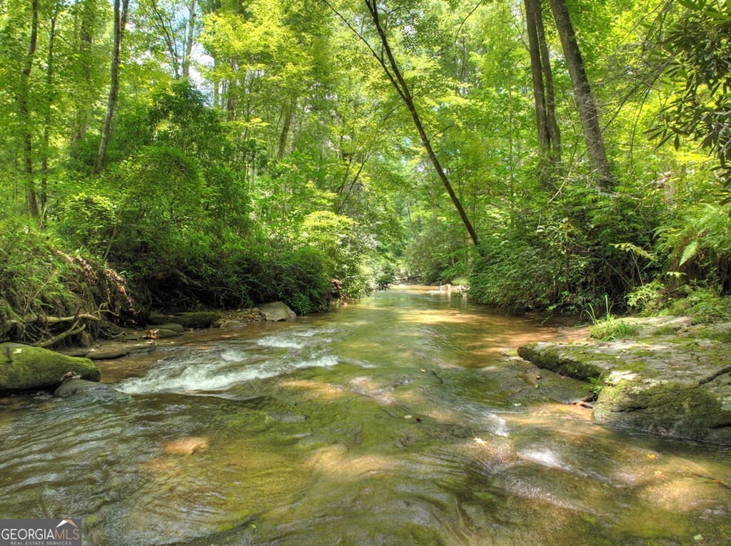 100 Stanley Creek Crossing