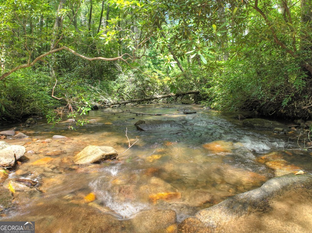 100 Stanley Creek Crossing