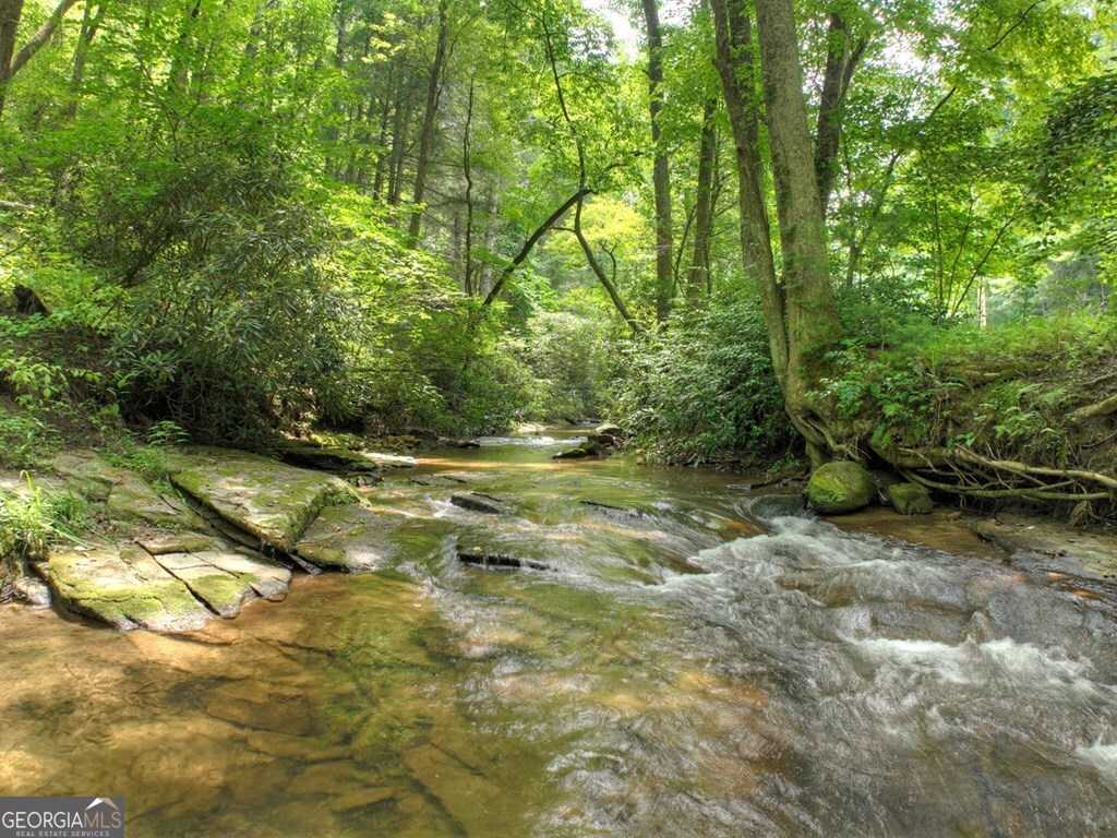 100 Stanley Creek Crossing